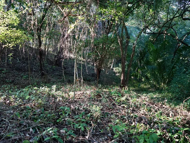 Land For Sale in Playa Pelada