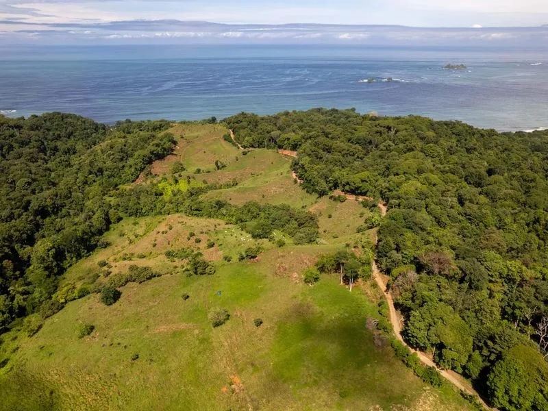 Land For Sale in Uvita