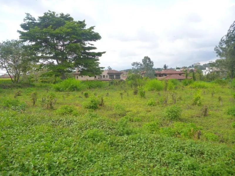 Land For Sale in Curridabat