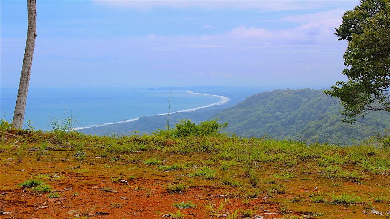 Developments For Sale in Dominical