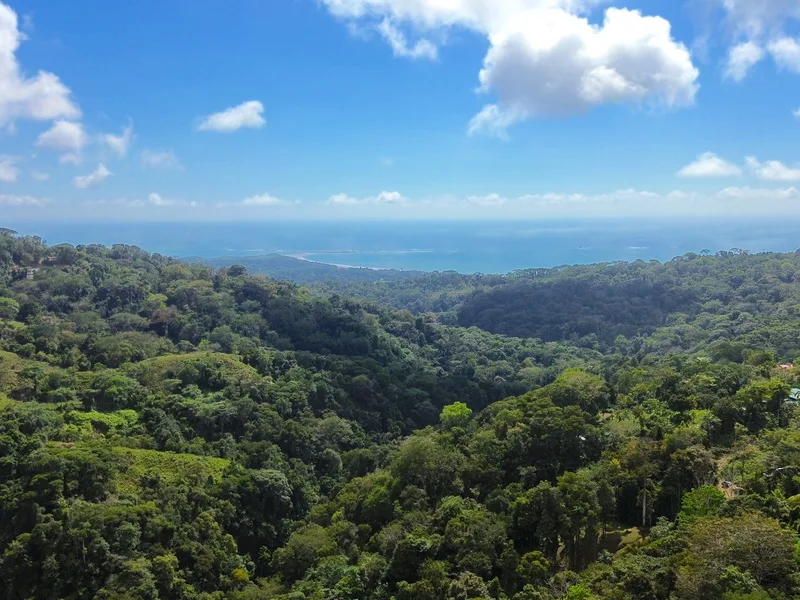 Land For Sale in Uvita