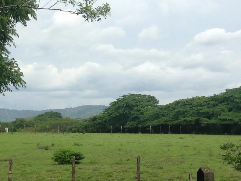 Land For Sale in La Guacima