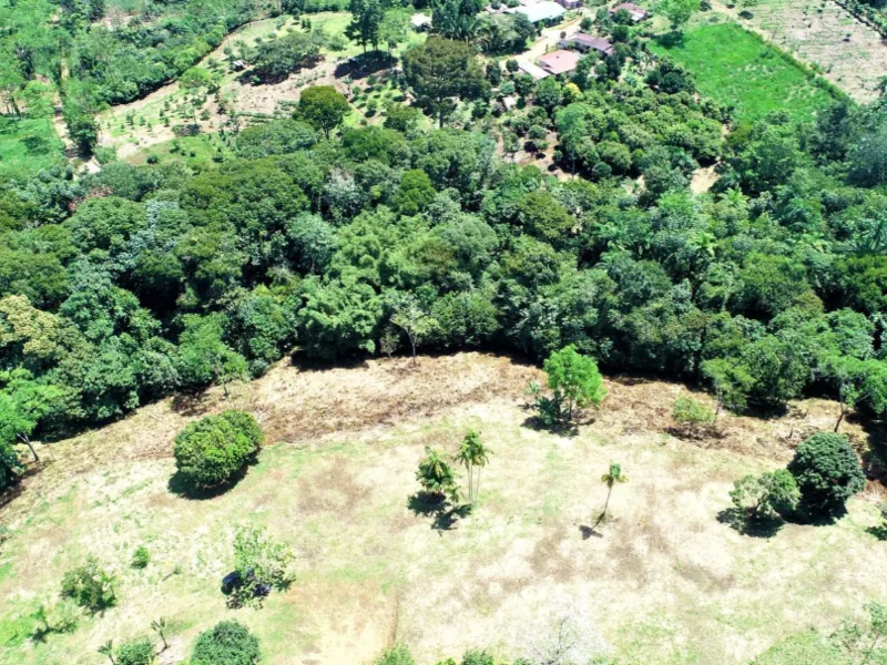 Land For Sale in Perez Zeledon