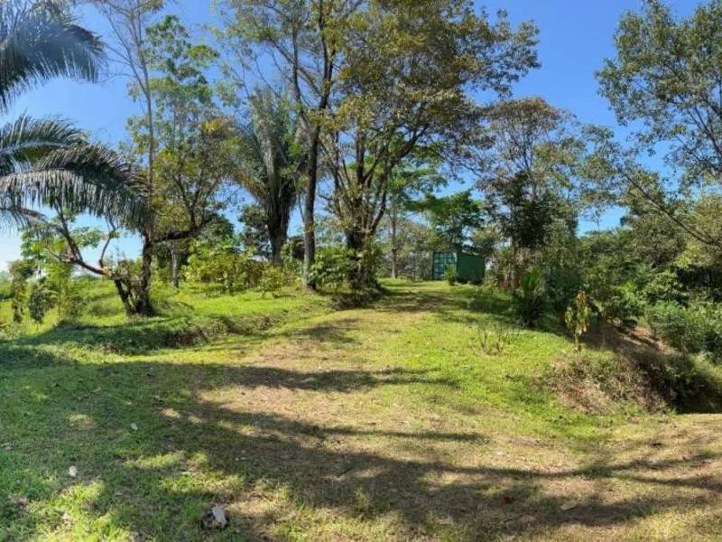 Land For Sale in Ojochal