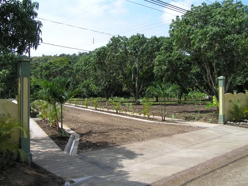 Land For Sale in Paquera