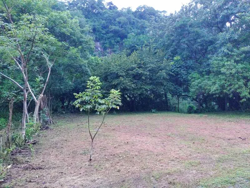 Land For Sale in Atenas