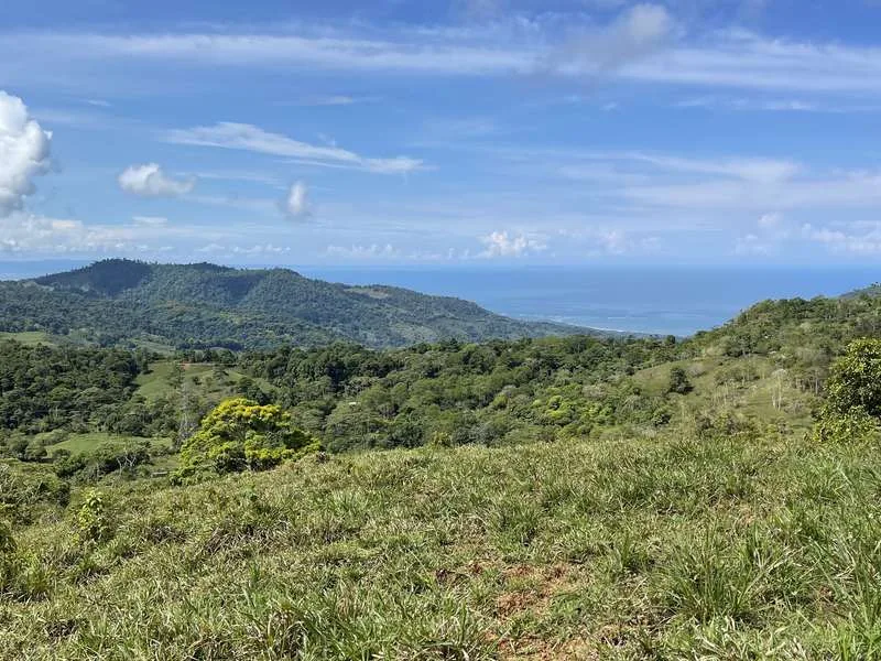 Land For Sale in Uvita