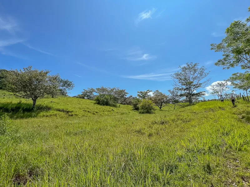 Land For Sale in Delicias