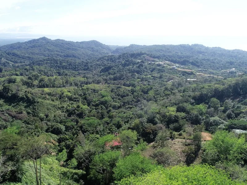 Land For Sale in Ojochal