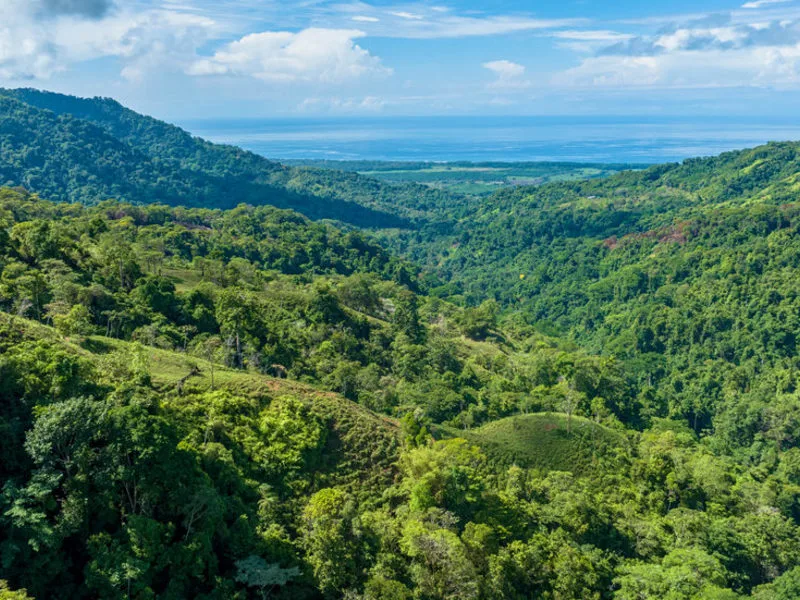 Land For Sale in Dominical