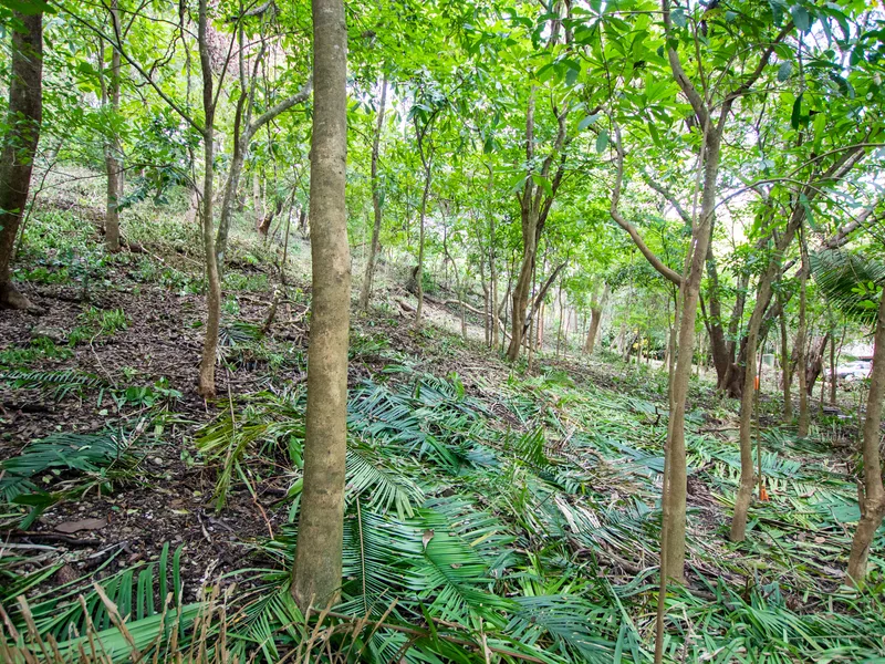 Land For Sale in Nosara