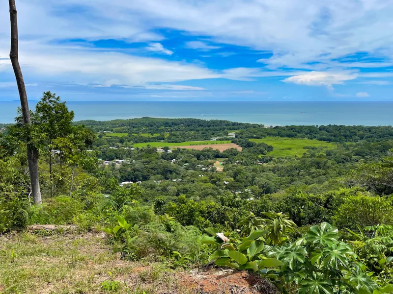 Land For Sale in Uvita