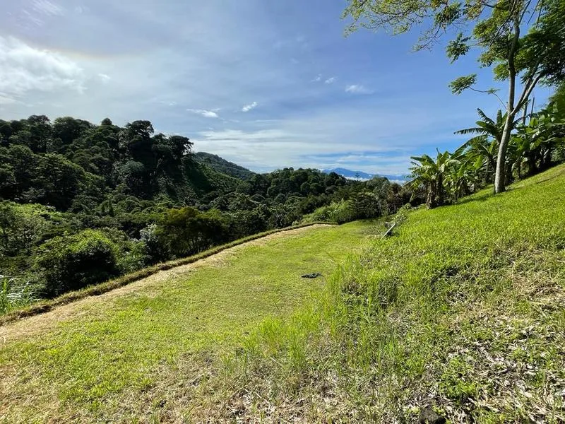 Land For Sale in Atenas