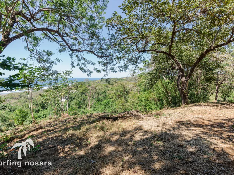 Land For Sale in Nosara