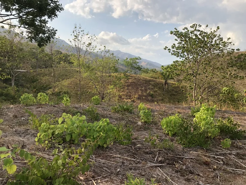 Land For Sale in Samara