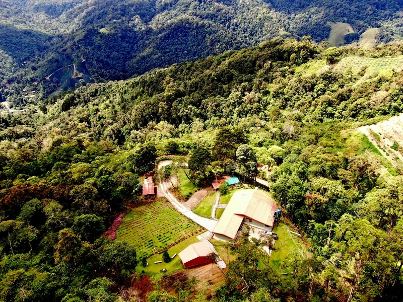 5 Bed Single Family Homes For Sale in Aguacaliente