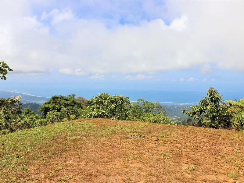 Land For Sale in Ojochal