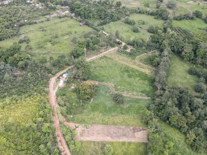 Land For Sale in Ojochal