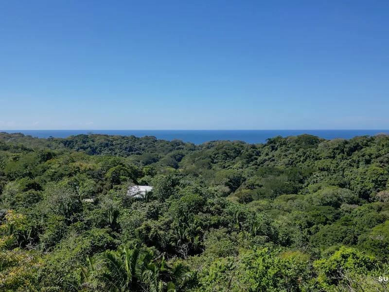 Land For Sale in Nosara