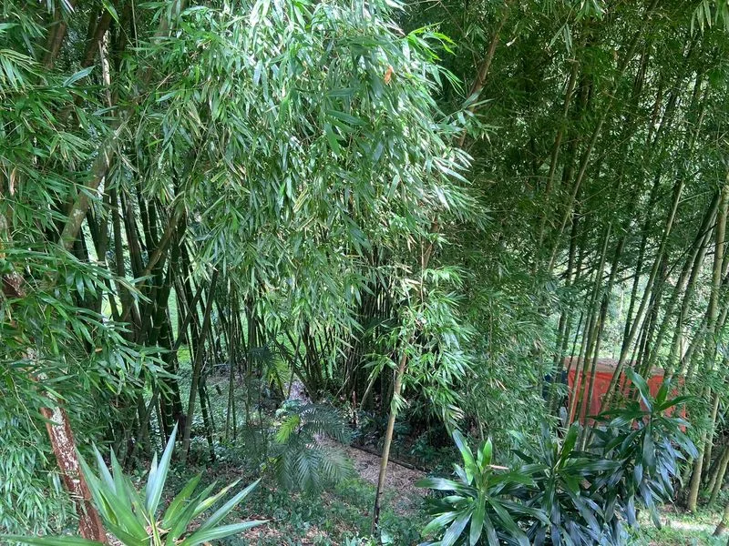 4 Bed Land For Sale in Montes de Oca — photo 3