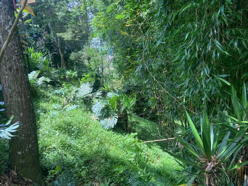 4 Bed Land For Sale in Montes de Oca — photo 4