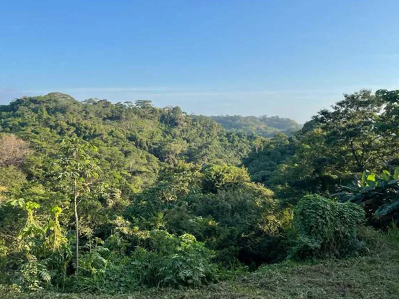 Land For Sale in Playa Hermosa Santa Teresa