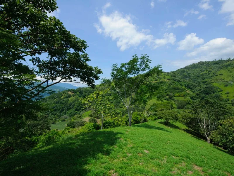 3 Bed Land For Sale in Atenas