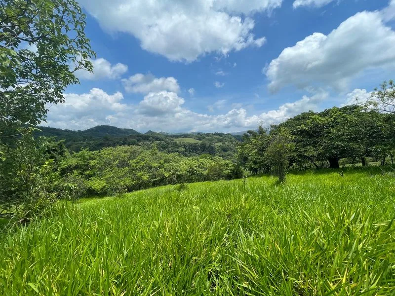 Land For Sale in Atenas