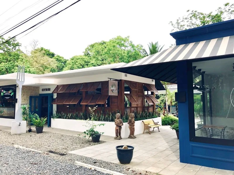 7 Bed Commercial For Sale in Ojochal