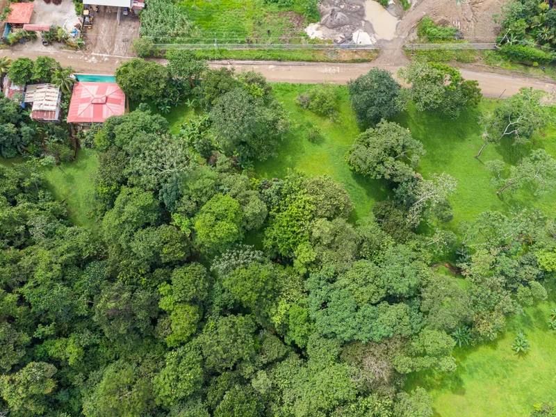 Land For Sale in Delicias