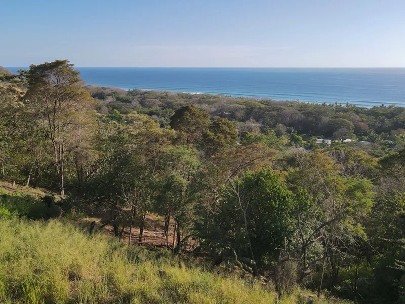 Land For Sale in Playa Hermosa Santa Teresa