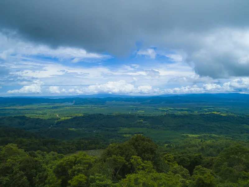 Land For Sale in Golfito