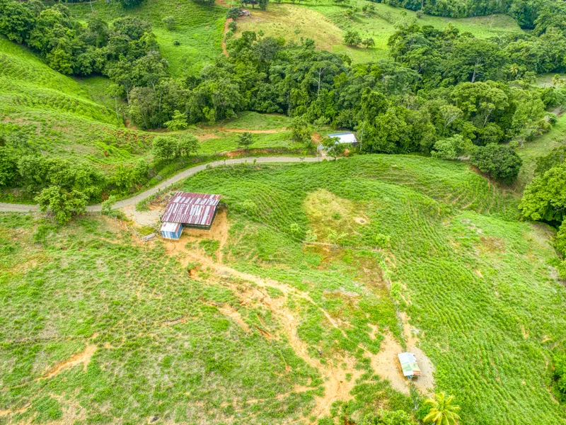 Land For Sale in Perez Zeledon