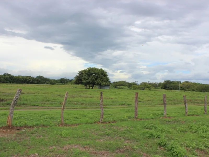 Land For Sale in Bagaces