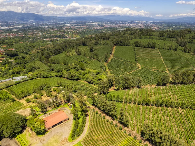 42 Bed Commercial For Sale in Heredia