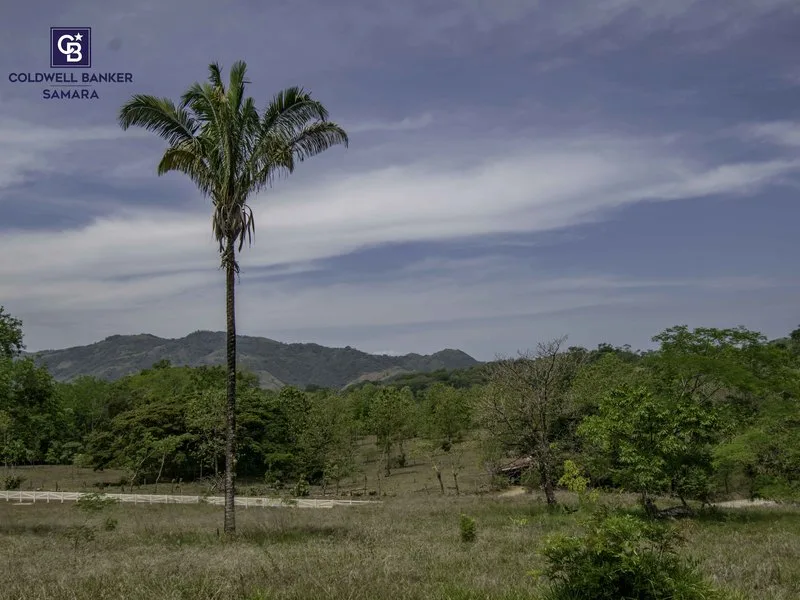 Land For Sale in Samara