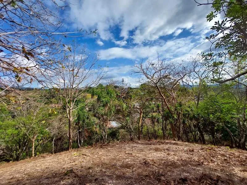 Land For Sale in La Garita — photo 2