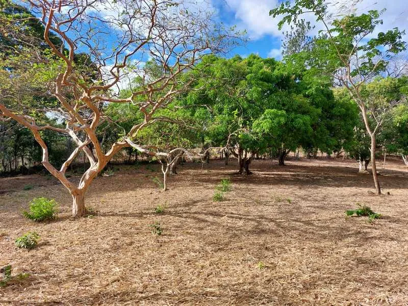 Land For Sale in La Garita — photo 5