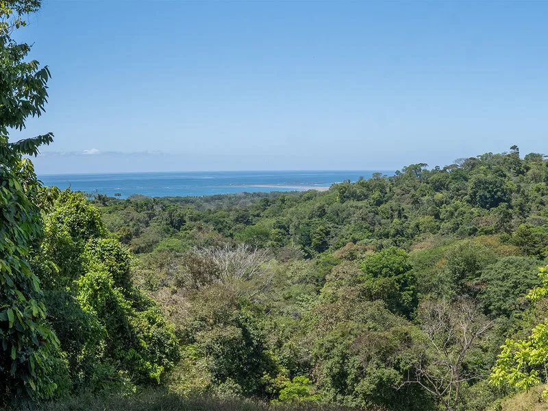 Land For Sale in Uvita