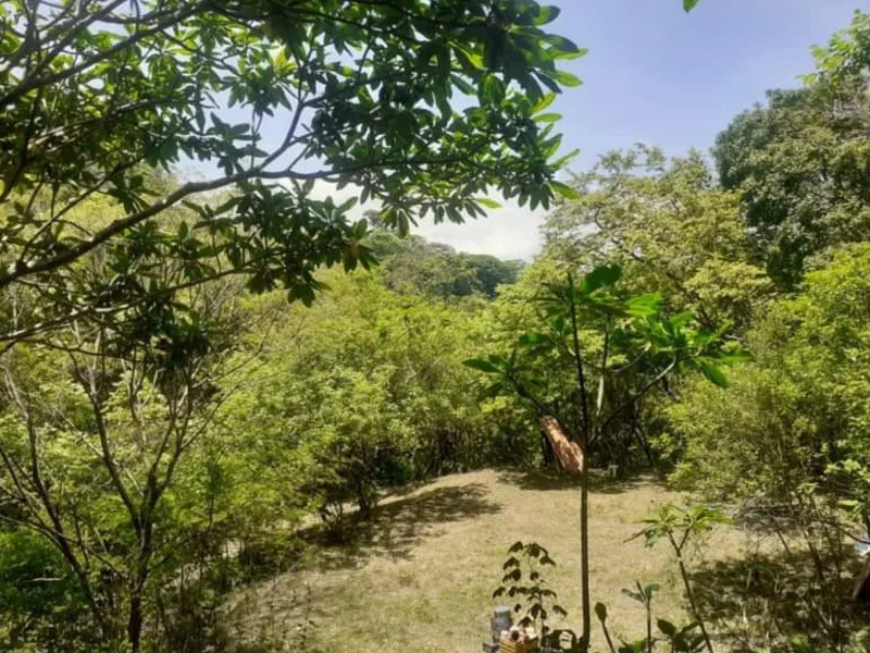 Land For Sale in Atenas