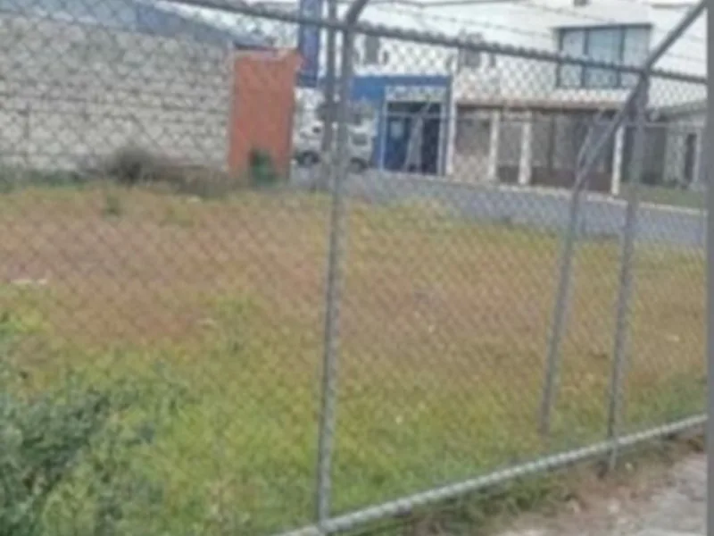 Land For Sale in Occidental