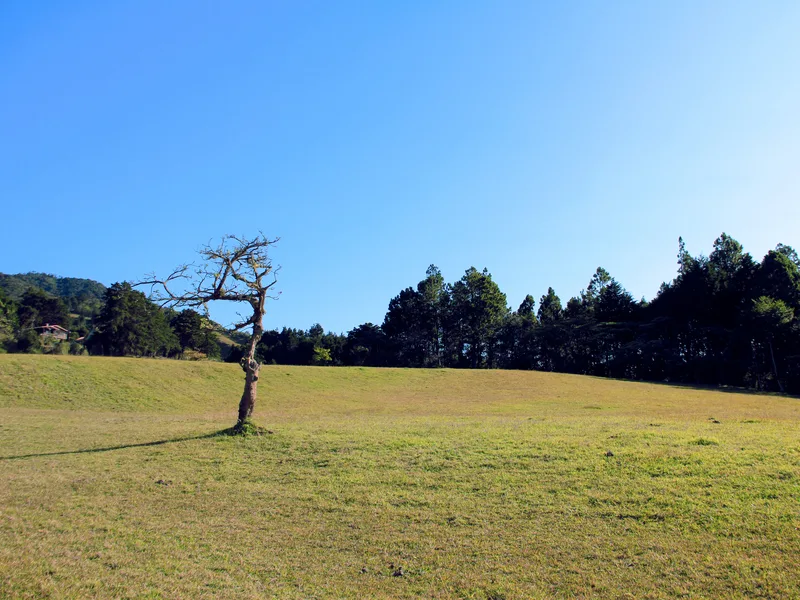 Land For Sale in San Isidro