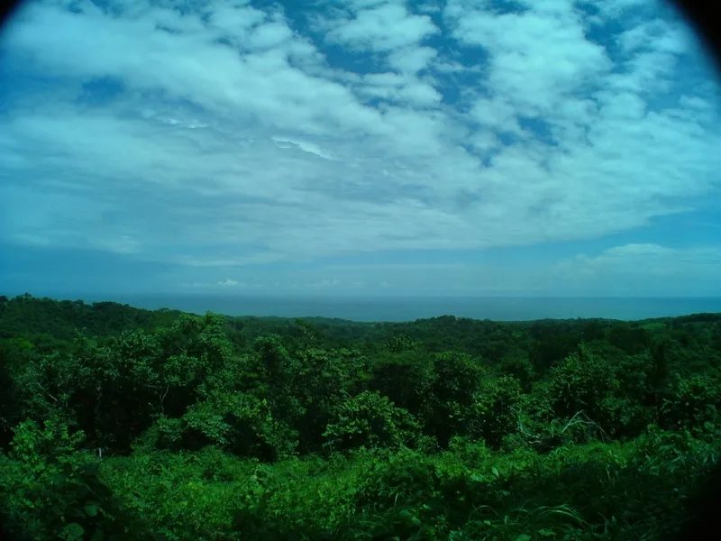 Land For Sale in Ostional
