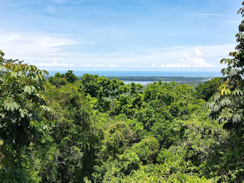 Land For Sale in Ojochal