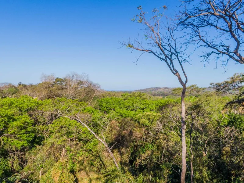 Land For Sale in Nosara