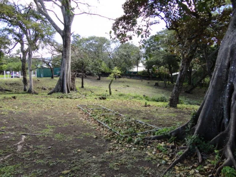 Land For Sale in Rio Oro