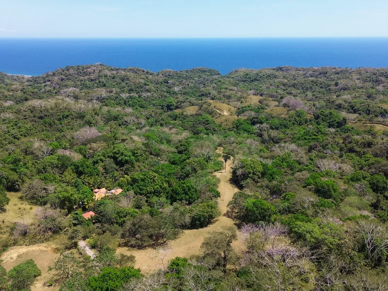 Land For Sale in Montezuma