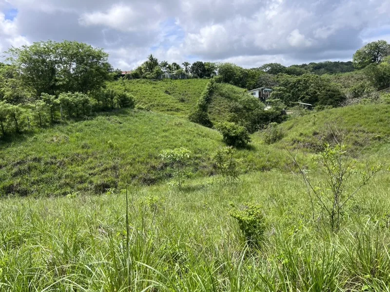 Land For Sale in Cobano