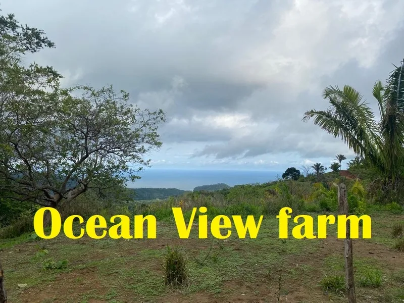 Land For Sale in Samara