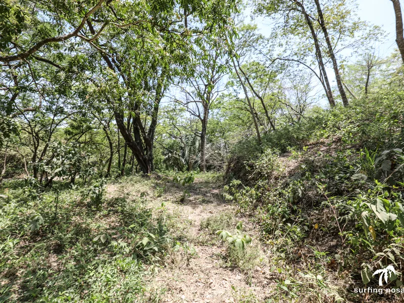 Land For Sale in Playa Pelada